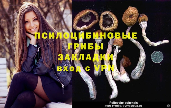 дживик Балабаново