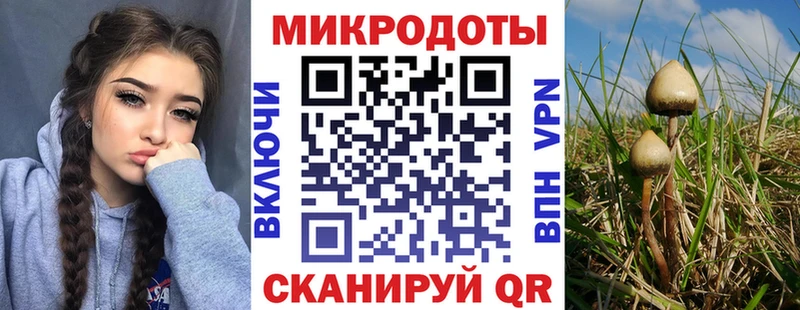 Галлюциногенные грибы мицелий  Дальнегорск 