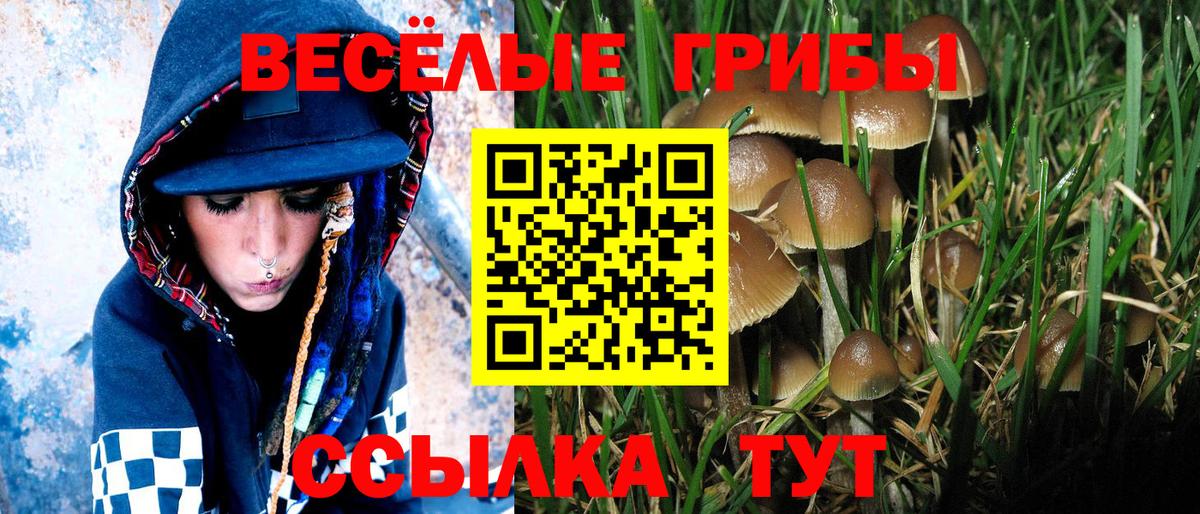 Дальнегорск  Псилоцибиновые грибы GOLDEN TEACHER  Вход с VPN  Галлюциногенные грибы Magic Shrooms 