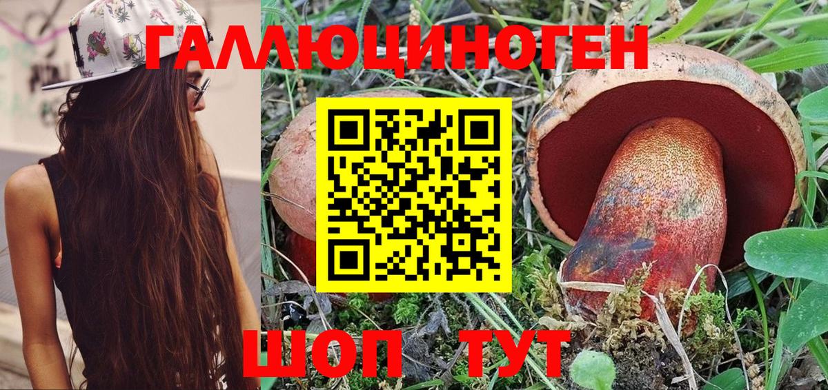 Галлюциногенные грибы ЛСД Дальнегорск